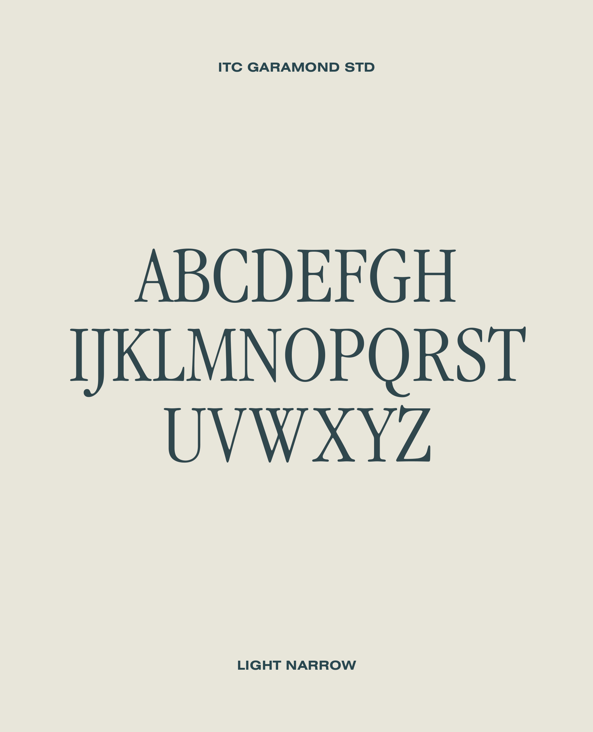 Preview of font assets