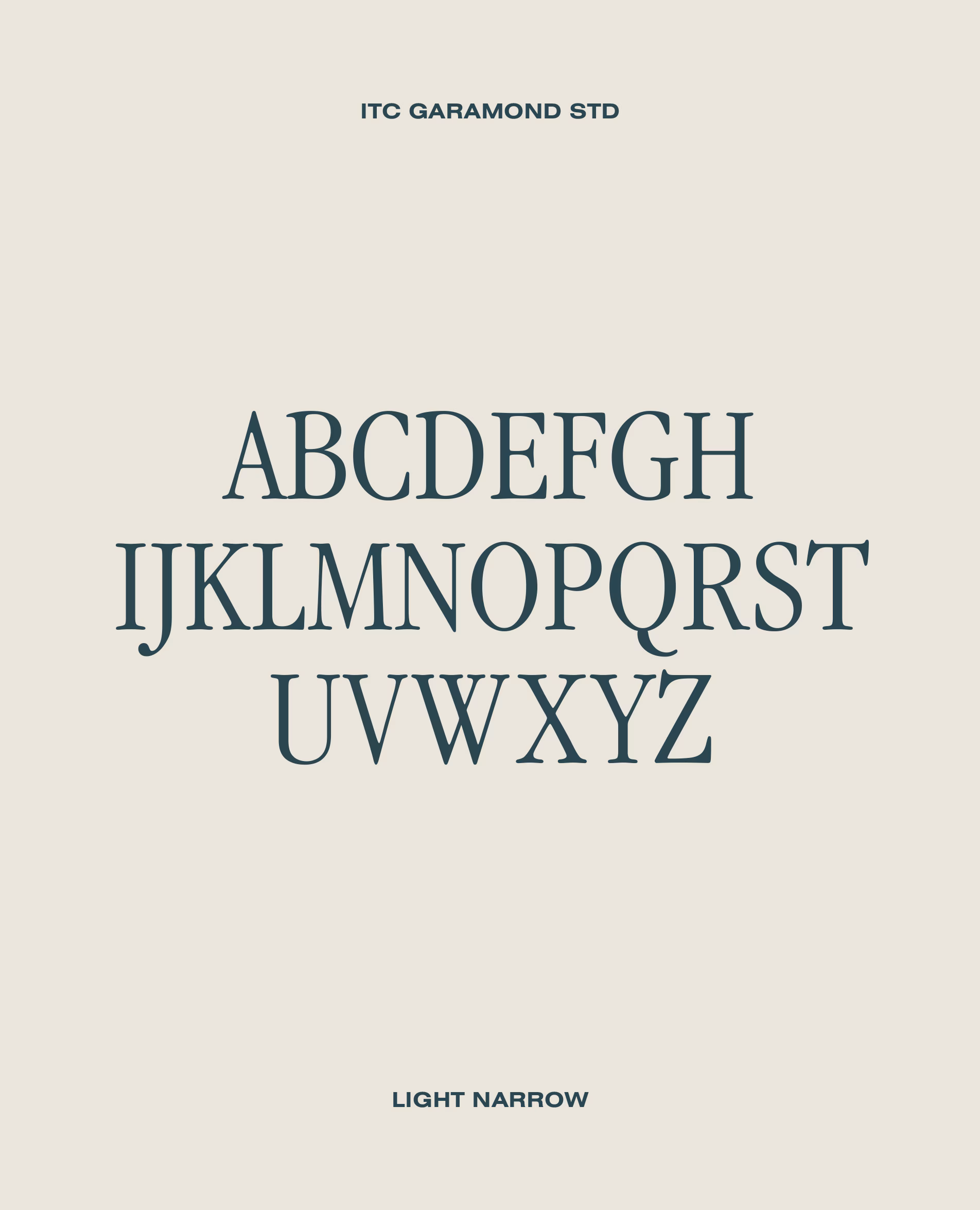 Preview of fonts and typography