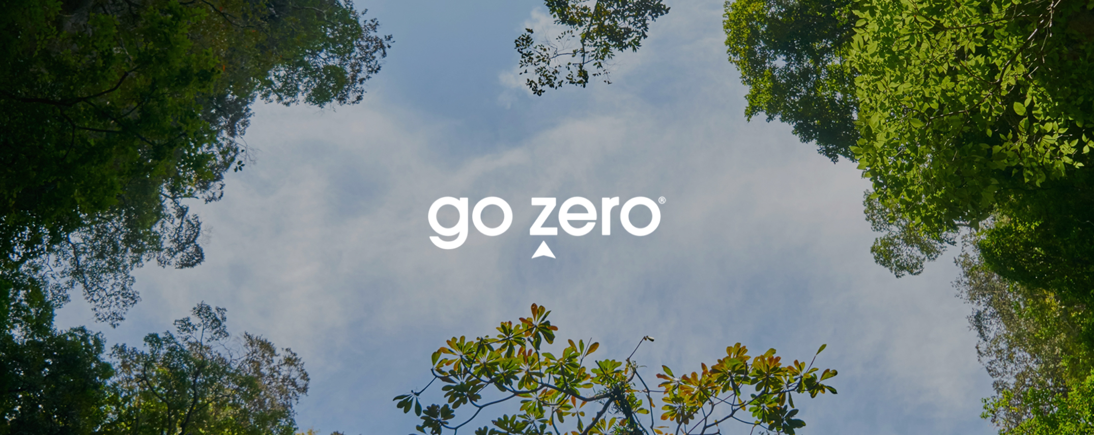 Preview of Go Zero logo